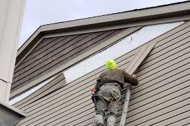 Best Insulated Siding Installation  in San Castle, FL